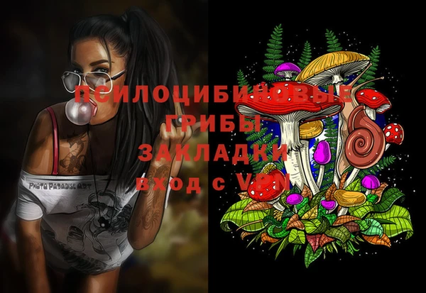 амфетамин Алексин