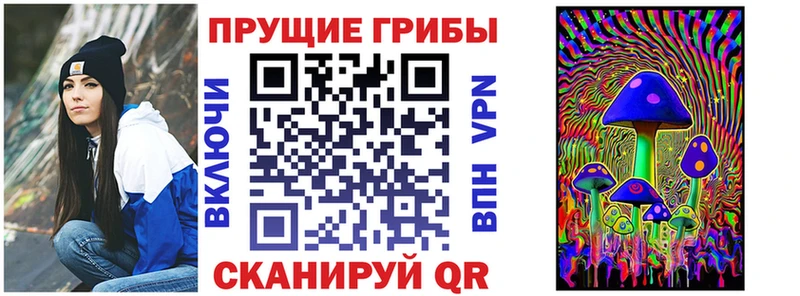 Галлюциногенные грибы мицелий  Строитель 